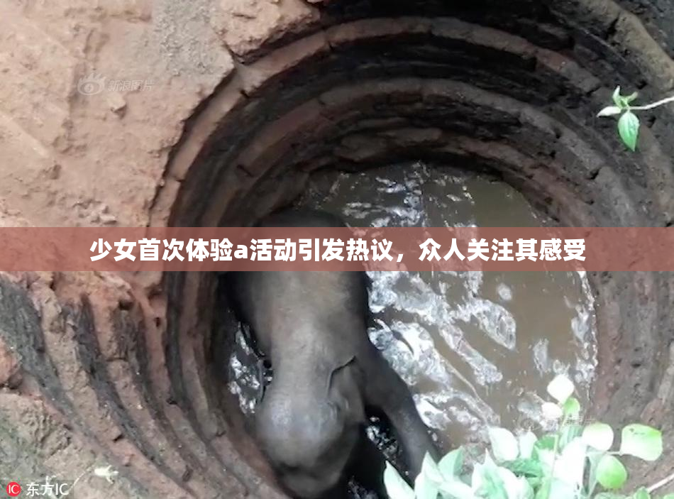 少女首次体验a活动引发热议，众人关注其感受