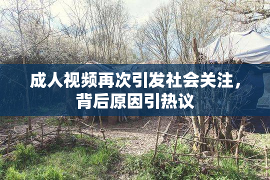 成人视频再次引发社会关注，背后原因引热议