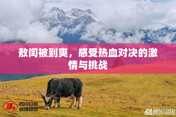 敖闰被到爽，感受热血对决的激情与挑战