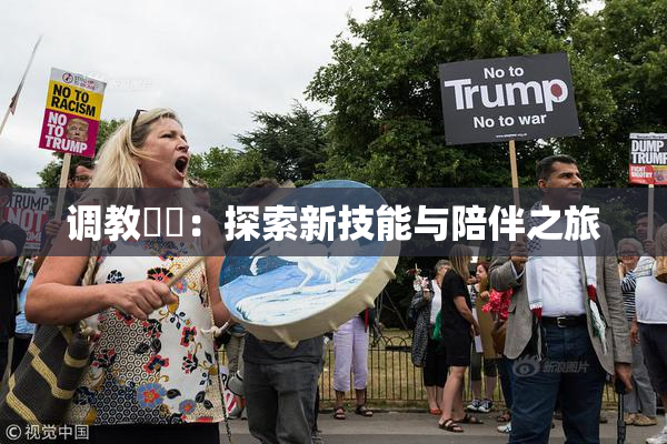 调教妺妺：探索新技能与陪伴之旅