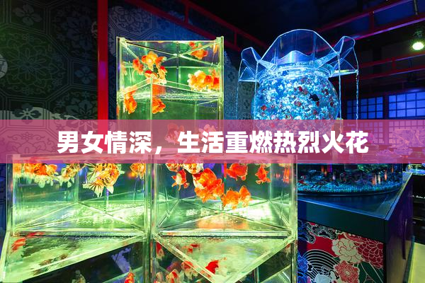 男女情深，生活重燃热烈火花