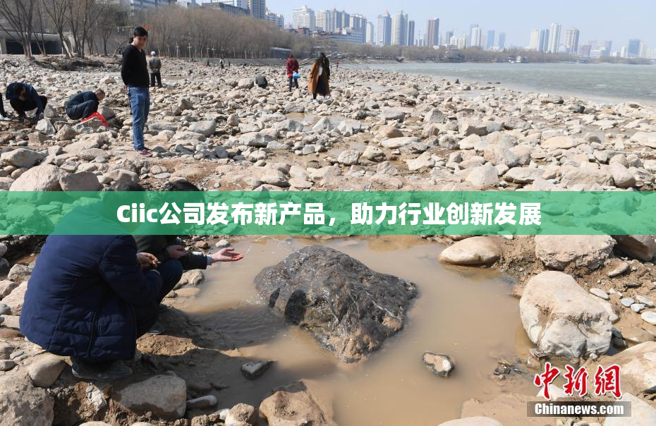 Ciic公司发布新产品，助力行业创新发展