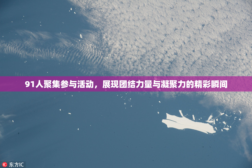91人聚集参与活动，展现团结力量与凝聚力的精彩瞬间