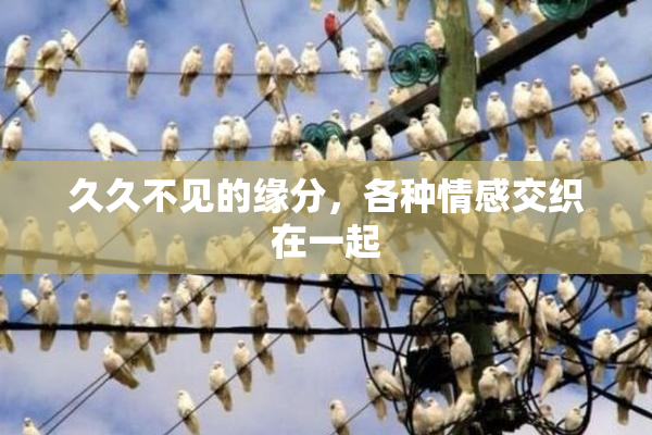 久久不见的缘分，各种情感交织在一起