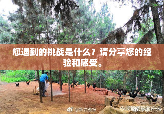 您遇到的挑战是什么？请分享您的经验和感受。