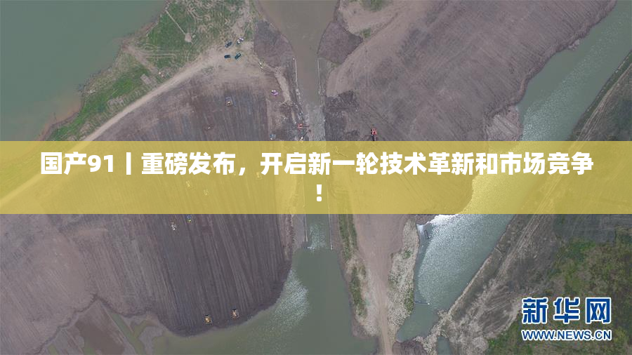 国产91丨重磅发布，开启新一轮技术革新和市场竞争！
