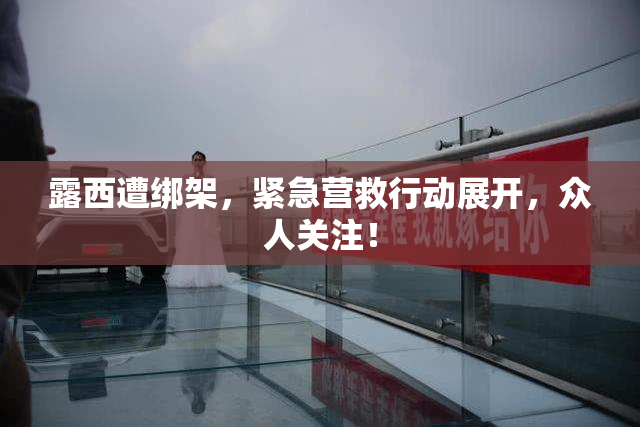 露西遭绑架，紧急营救行动展开，众人关注！