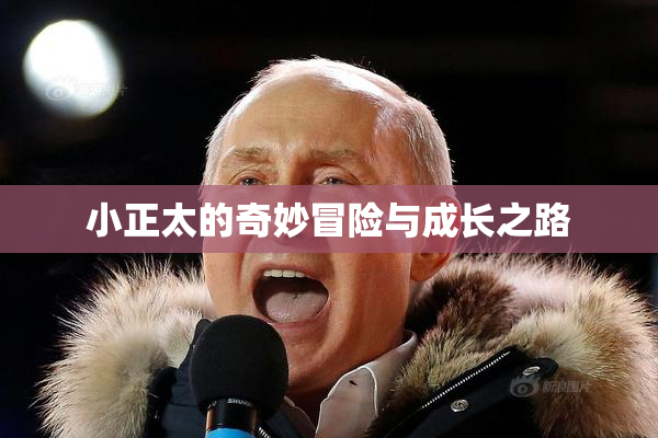 小正太的奇妙冒险与成长之路