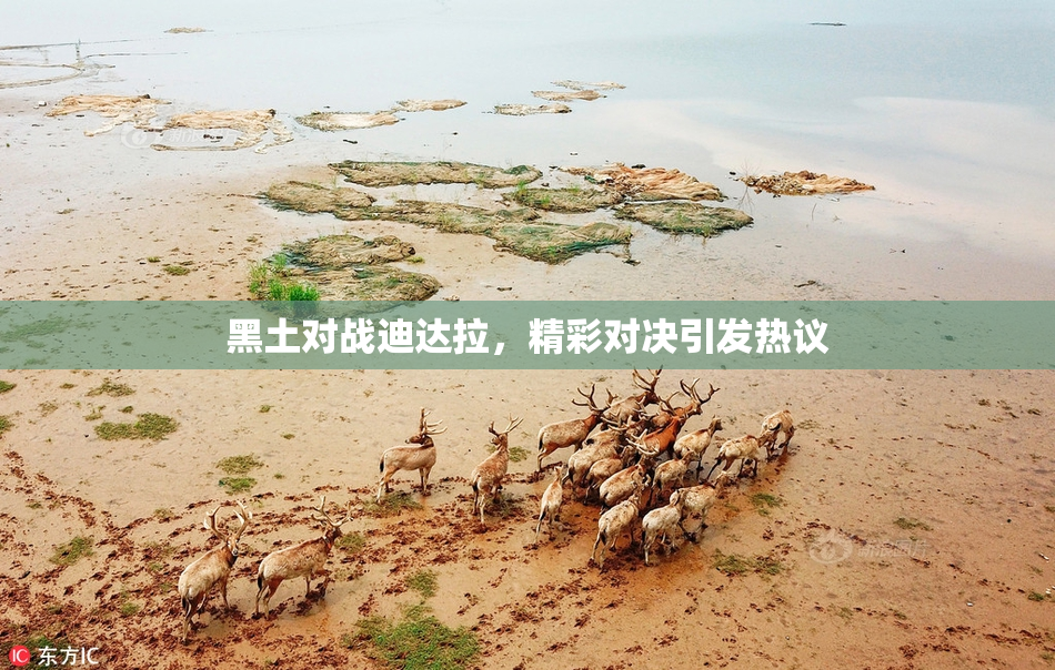 黑土对战迪达拉，精彩对决引发热议