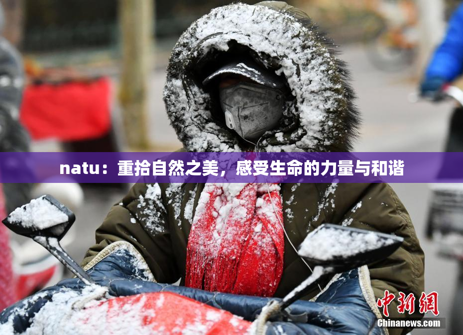natu：重拾自然之美，感受生命的力量与和谐