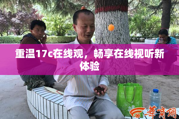 重温17c在线观，畅享在线视听新体验