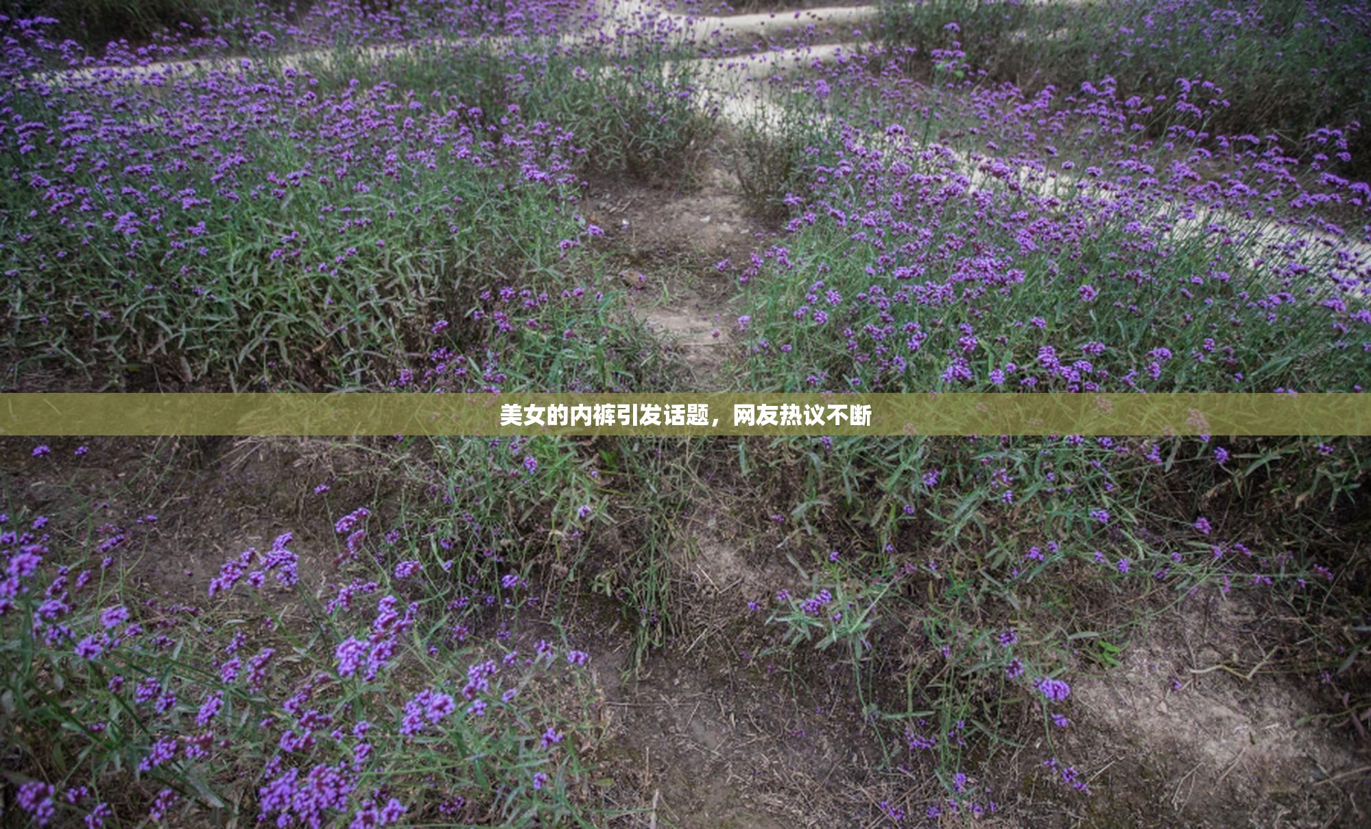 美女的内裤引发话题，网友热议不断