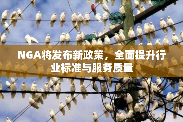 NGA将发布新政策，全面提升行业标准与服务质量