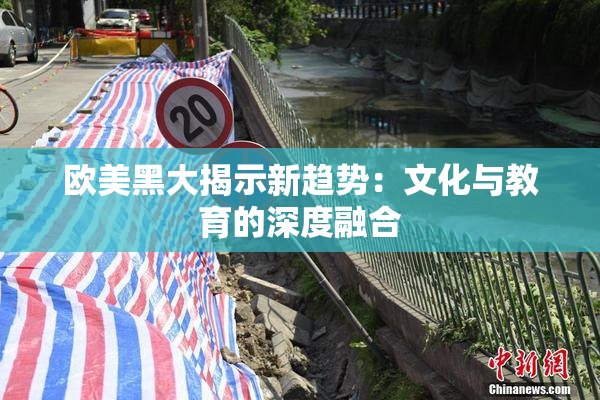 欧美黑大揭示新趋势：文化与教育的深度融合