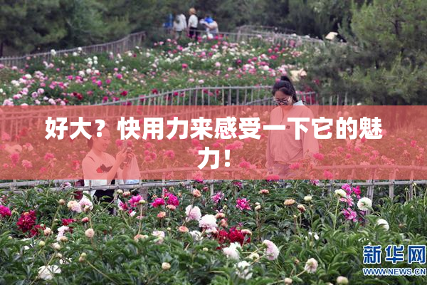好大？快用力来感受一下它的魅力！