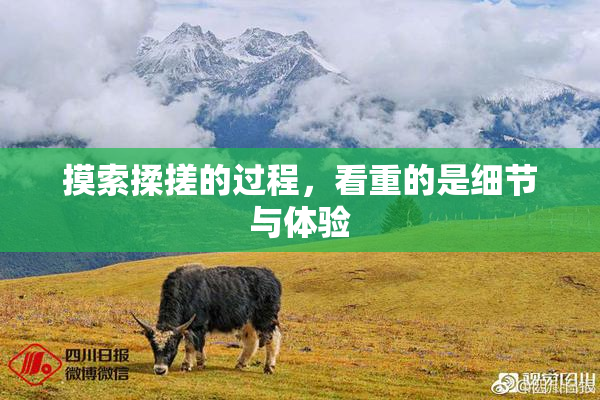 摸索揉搓的过程，看重的是细节与体验