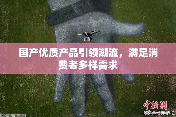 国产优质产品引领潮流，满足消费者多样需求