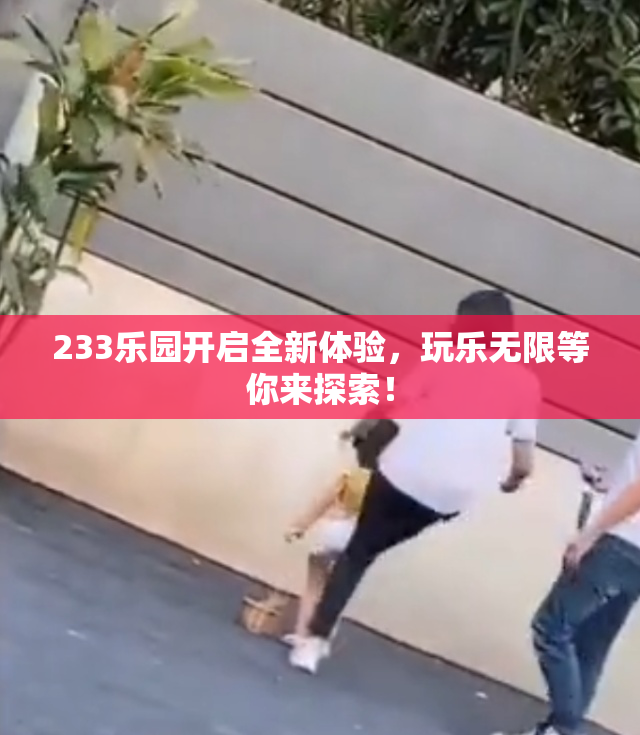 233乐园开启全新体验，玩乐无限等你来探索！