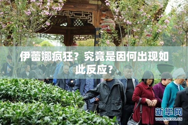 伊蕾娜疯狂？究竟是因何出现如此反应？