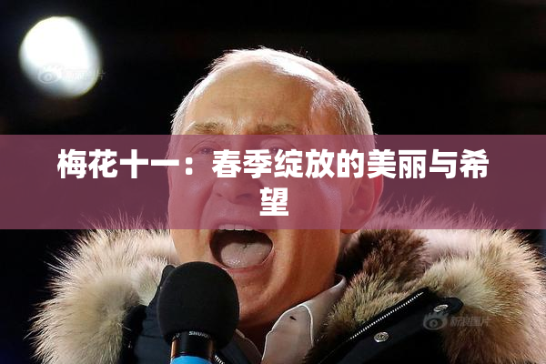 梅花十一：春季绽放的美丽与希望