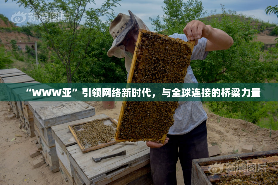 “WWW亚”引领网络新时代，与全球连接的桥梁力量