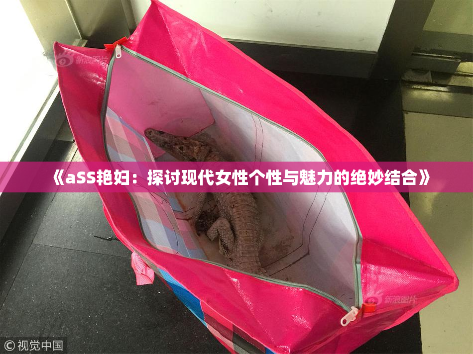 《aSS艳妇：探讨现代女性个性与魅力的绝妙结合》