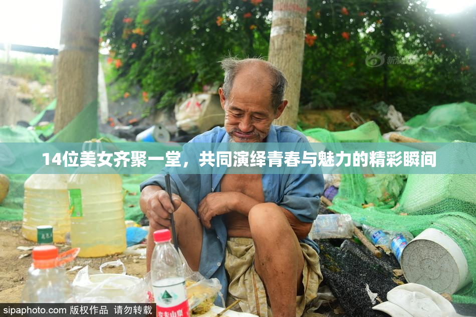 14位美女齐聚一堂，共同演绎青春与魅力的精彩瞬间