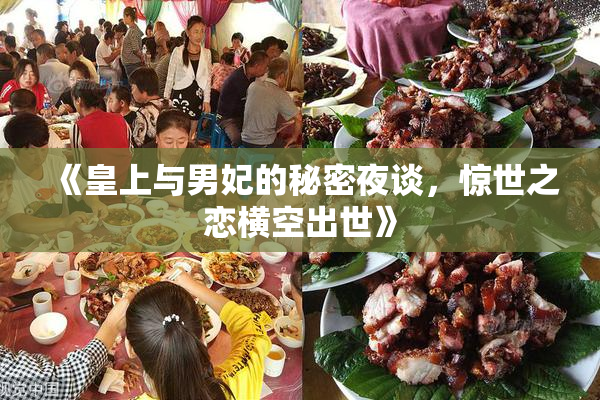 《皇上与男妃的秘密夜谈，惊世之恋横空出世》