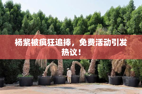 杨紫被疯狂追捧，免费活动引发热议！