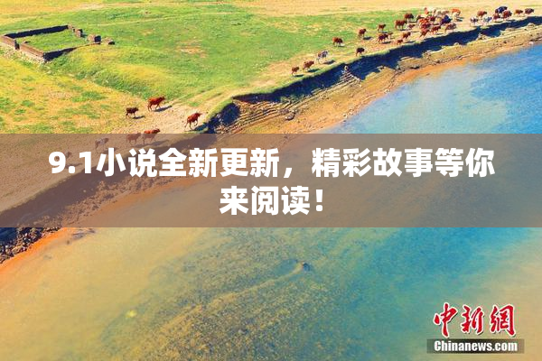 9.1小说全新更新，精彩故事等你来阅读！