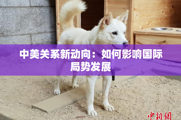 中美关系新动向：如何影响国际局势发展