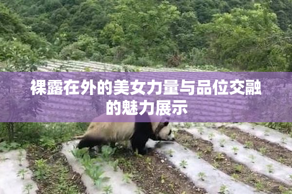 裸露在外的美女力量与品位交融的魅力展示