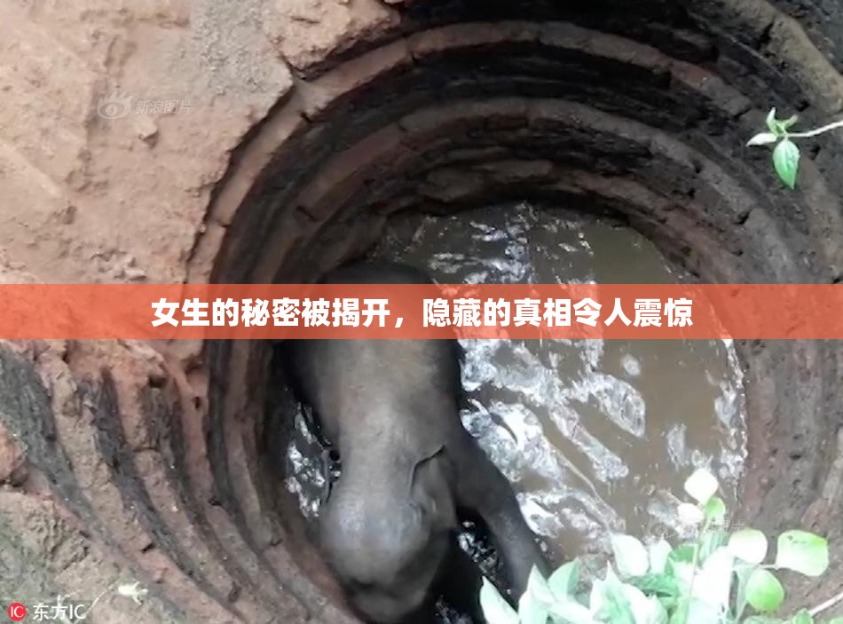 女生的秘密被揭开，隐藏的真相令人震惊