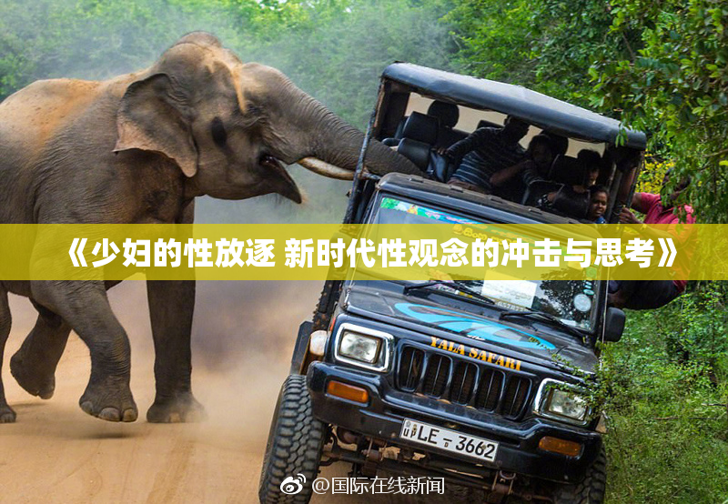 《少妇的性放逐 新时代性观念的冲击与思考》