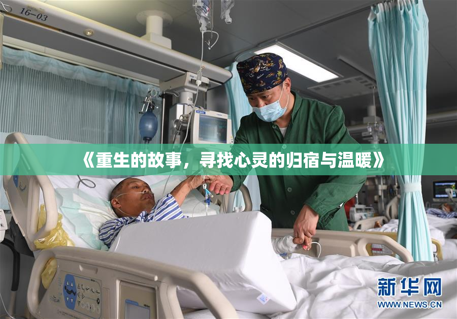 《重生的故事，寻找心灵的归宿与温暖》