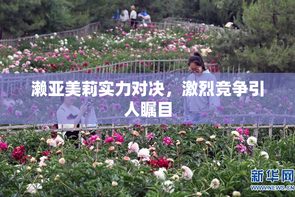 濑亚美莉实力对决，激烈竞争引人瞩目
