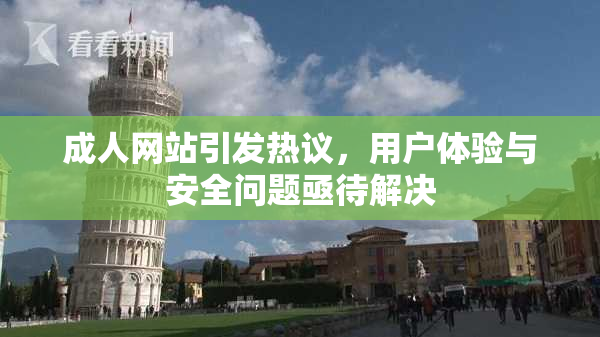 成人网站引发热议，用户体验与安全问题亟待解决