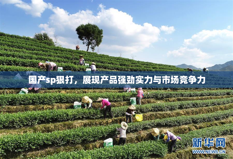 国产sp狠打，展现产品强劲实力与市场竞争力
