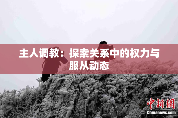 主人调教：探索关系中的权力与服从动态