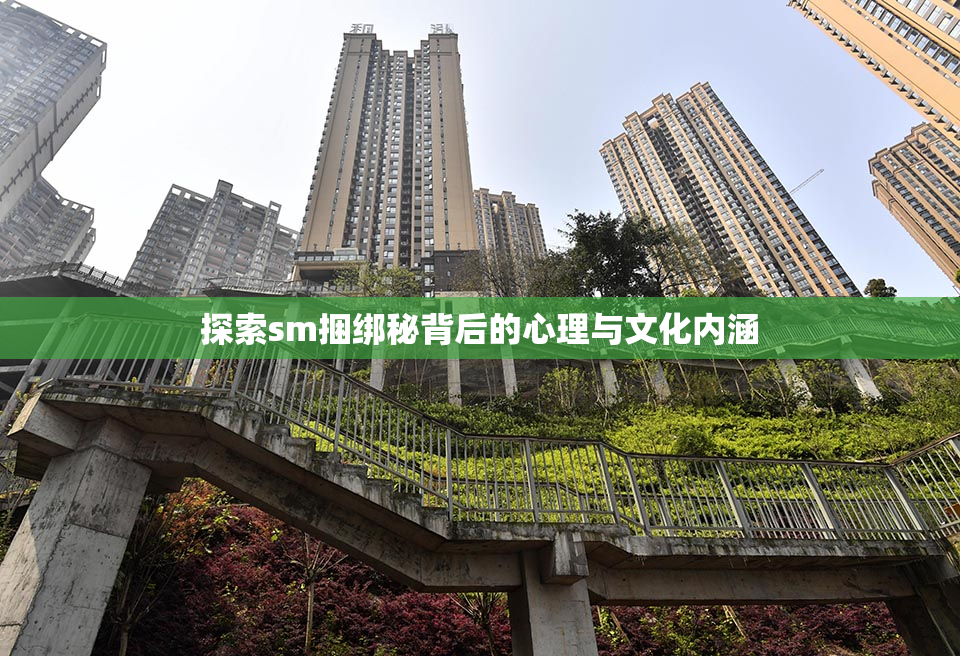 探索sm捆绑秘背后的心理与文化内涵