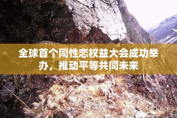全球首个同性恋权益大会成功举办，推动平等共同未来