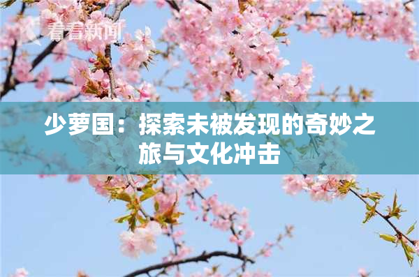少萝国：探索未被发现的奇妙之旅与文化冲击