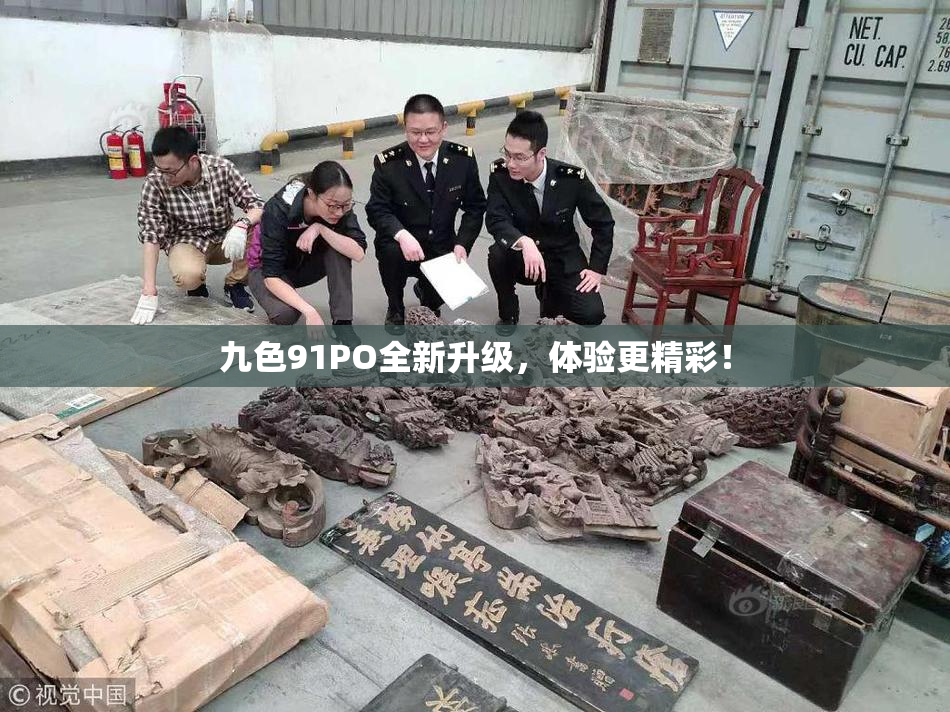 九色91PO全新升级，体验更精彩！