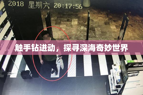 触手钻进动，探寻深海奇妙世界