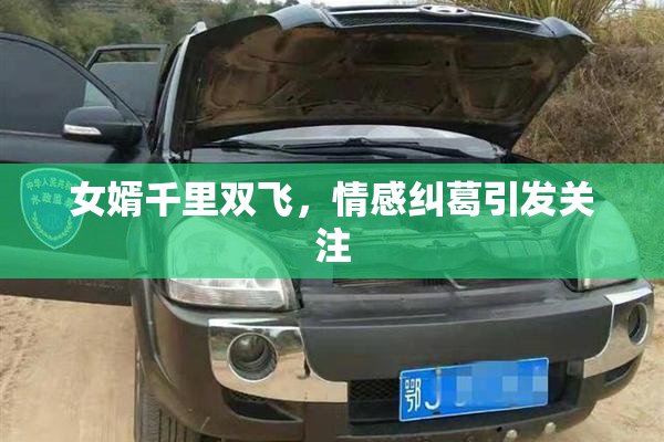 女婿千里双飞，情感纠葛引发关注