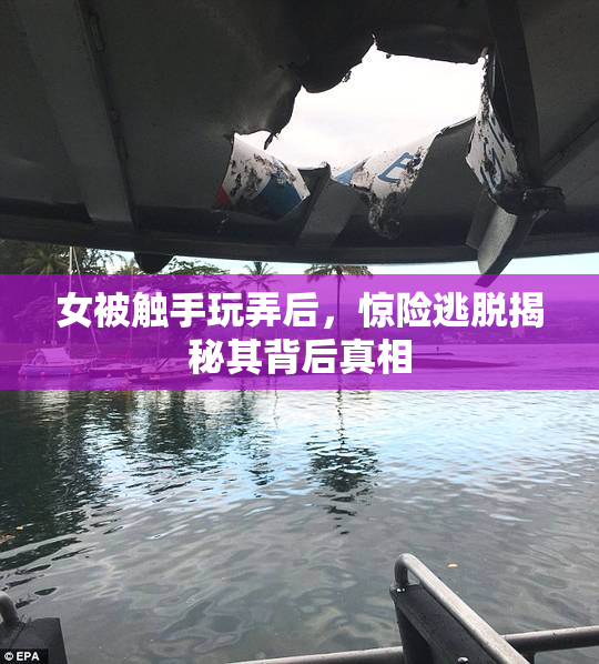 女被触手玩弄后，惊险逃脱揭秘其背后真相