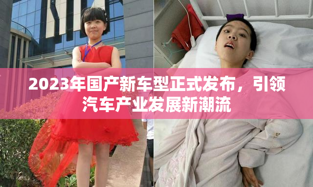 2023年国产新车型正式发布，引领汽车产业发展新潮流