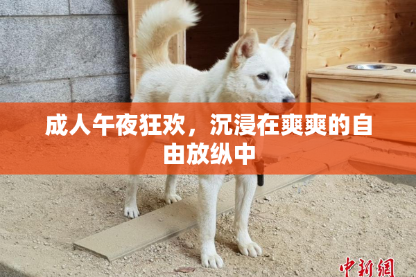 成人午夜狂欢，沉浸在爽爽的自由放纵中