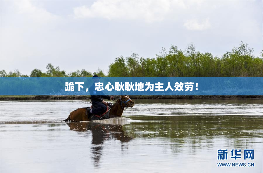 跪下，忠心耿耿地为主人效劳！