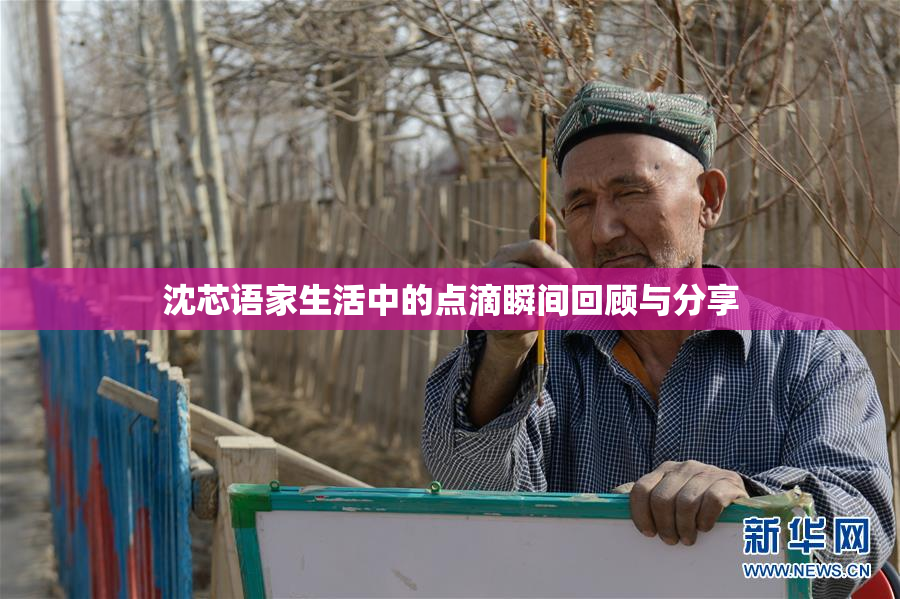 沈芯语家生活中的点滴瞬间回顾与分享